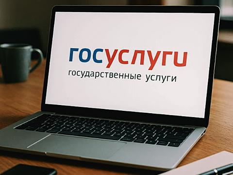 Рег.ру запустил идентификацию владельцев сайтов через Госуслуги