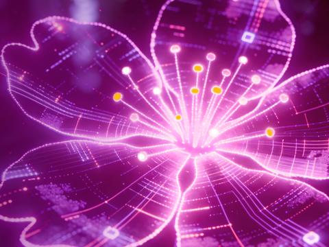 САКУРА 2.37.2 получила поддержку Wayland и Astra Linux МКЦ