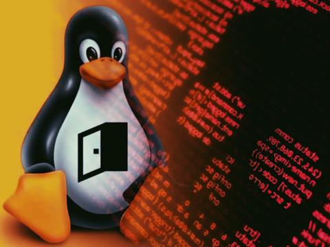 Полиморфик Shikitega проникает в Linux малыми дозами и открывает бэкдор