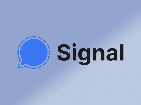 Signal запустил тестирование юзернеймов, скрывающих номер телефона
