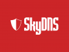 Обзор SkyDNS, сервиса интернет-фильтрации для бизнеса и госучреждений