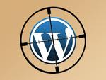 Отражены 5 млн атак на WordPress через дыру 0-day в плагине BackupBuddy