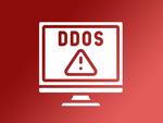 Правоохрана захватила 48 доменов поставщиков услуг по проведению DDoS-атак