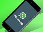 Бета-версия WhatsApp содержит баг конфиденциальности