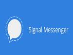 Новый баг в Signal позволяет получить переписку в виде простого текста