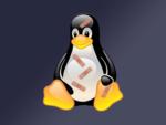 RCE-уязвимость в Shim доставила много хлопот разработчикам Linux и Ко