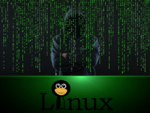 Gitpaste-12: самоходный Linux-бот, вооруженный десятком эксплойтов