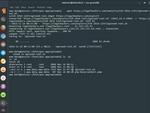 Обнаружена Root-уязвимость в пакете nginx для Debian и Ubuntu