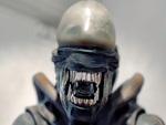 Авторы Android-трояна Xenomorph полностью автоматизировали кражу денег