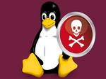 Уязвимость systemd приводит к отказу в обслуживании систем Linux