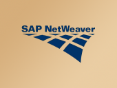 Критическая уязвимость SAP допускает атаки на цепочки поставок (патч готов)