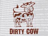 В ядре Linux устранена 0-day уязвимость Dirty COW