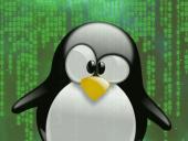 Ошибка в ядре Linux позволяет удаленно провести успешную DoS-атаку 