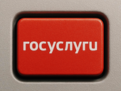 На Госуслугах появится красная кнопка информирования о киберпреступлениях