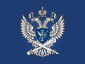 Роскомнадзор опроверг перегрузку ТСПУ