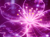 САКУРА 2.37.2 получила поддержку Wayland и Astra Linux МКЦ