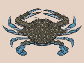 Распространение GandCrab прекращается, преступники заработали $2,5 млрд