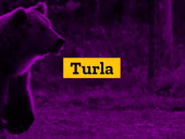 Группировка Turla использует новый бэкдор в атаках на США и Афганистан