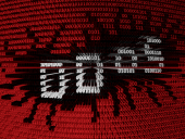 СБУ выявила ботовода, проводившего DDoS-атаки и спам-рассылки на заказ
