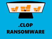 Полиция Украины задержала операторов шифровальщика Clop