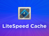В WordPress-плагине LiteSpeed Cache выявили уязвимость повышения прав
