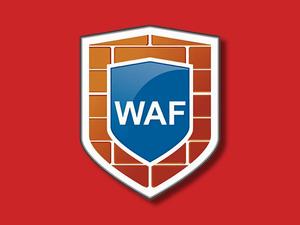 Обзор рынка защиты веб-приложений (WAF) — 2024