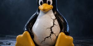 Отчёты о критических уязвимостях Linux попали в открытую рассылку до патчей
