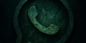 Имея только номер: как WhatsApp выдаёт активность и устройства пользователя