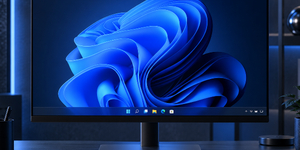 Найден новый способ установить Windows 11 без интернета и аккаунта