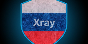 Блокировка по фингерпринту: почему у россиян снова посыпались Xray, REALITY