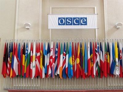 Россия предложила ОБСЕ провести конференцию по кибербезопасности в 2018