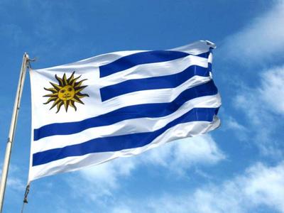 СёрчИнформ провела встречу с ведущими госкомпаниями Уругвая