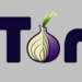 Русский ботнет захватил Tor