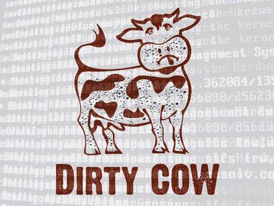 В ядре Linux устранена 0-day уязвимость Dirty COW