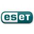 ESET в розничном сегменте вырос на 51% 