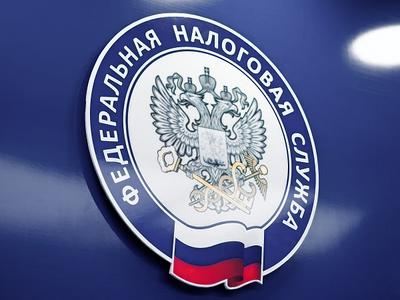 Хактивисты заявили об успешной атаке на ФНС России