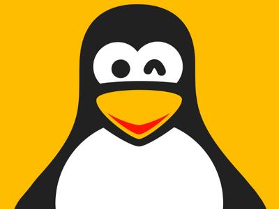 ФСТЭК России опубликовала рекомендации по безопасной настройке Linux