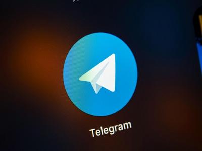 Совет по правам человека выступает против блокировки Telegram