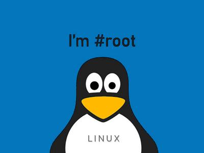 В Linux Netfilter выявлена возможность поднять права до root