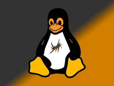 Уязвимости Linux стали в два раза чаще фигурировать в кибератаках