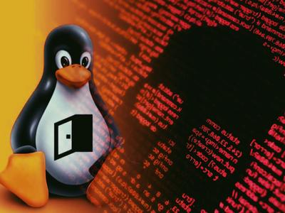 Microsoft: Активность Linux-вредоноса XorDDoS выросла на 254%