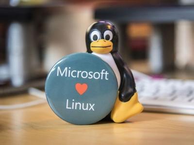 Microsoft хочет присоединиться к закрытому списку разработчиков Linux