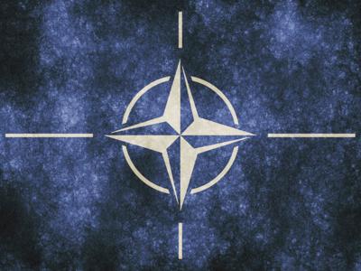 Киберхулиганы слили в Сеть 3 тыс. документов, украденных у НАТО