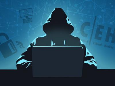 Взломавшего компьютеры более сотни американцев хакера экстрадируют в США