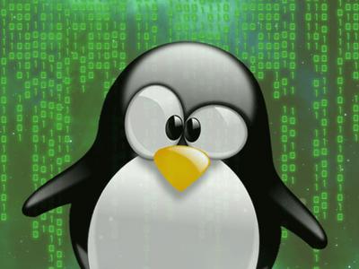 Ошибка в ядре Linux позволяет удаленно провести успешную DoS-атаку 
