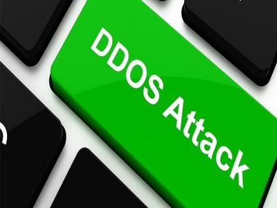 Треть российских компаний пренебрегают защитой от DDoS-атак
