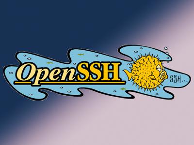В OpenSSH устранили уязвимость грозящую удаленным исполнением кода