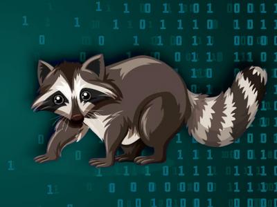 Вредонос Raccoon переписан на C, стал быстрее воровать данные