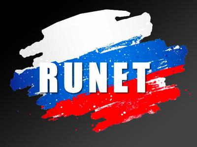 В Самаре создали систему, способную пресечь попытки нарушить работу рунета