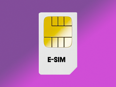 Власти готовят к запуску российскую eSIM-платформу